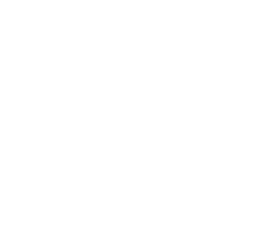WAKOTA IT
